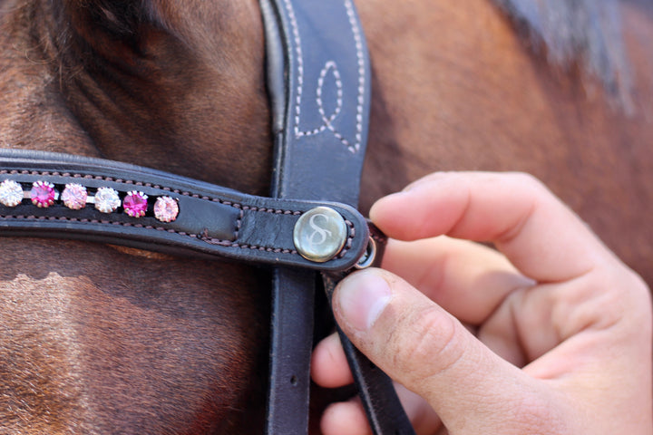 Easy-Click Browband - Tickled Pink