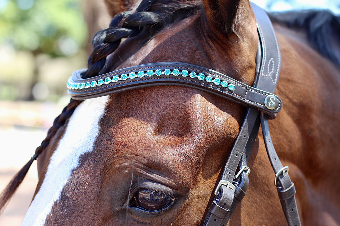 Easy-Click Browband - Ocean Seaglass