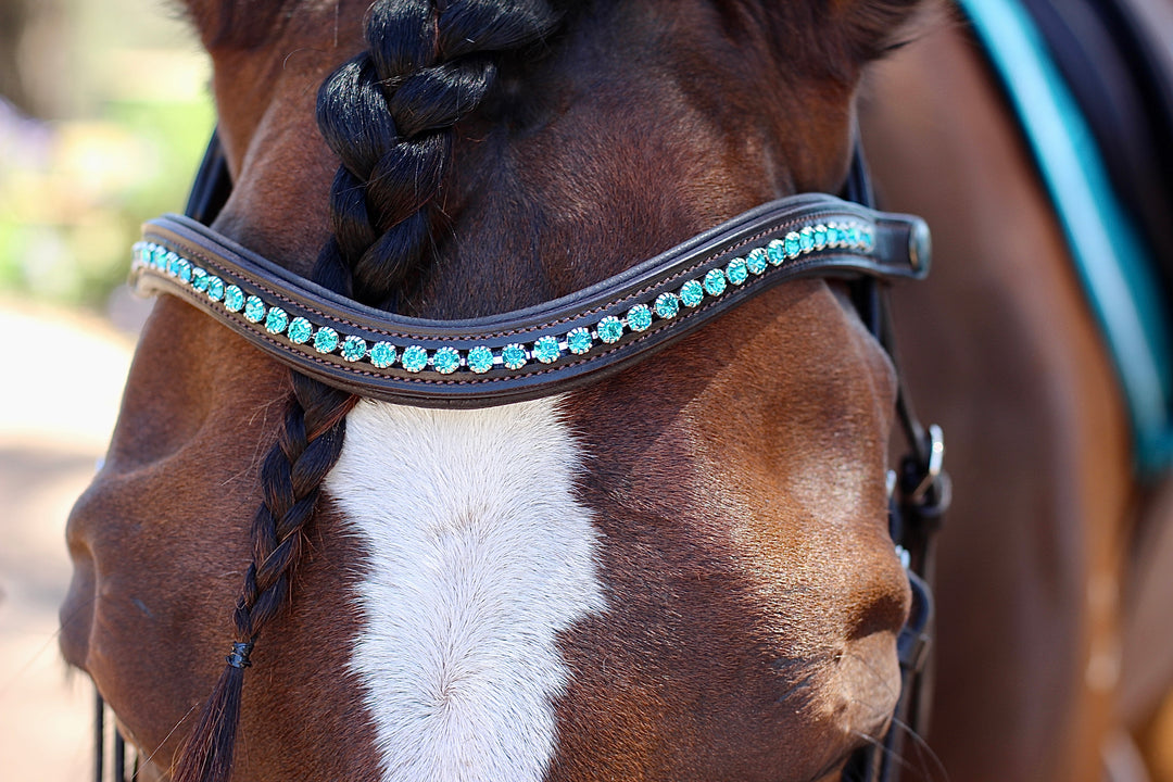 Easy-Click Browband - Ocean Seaglass