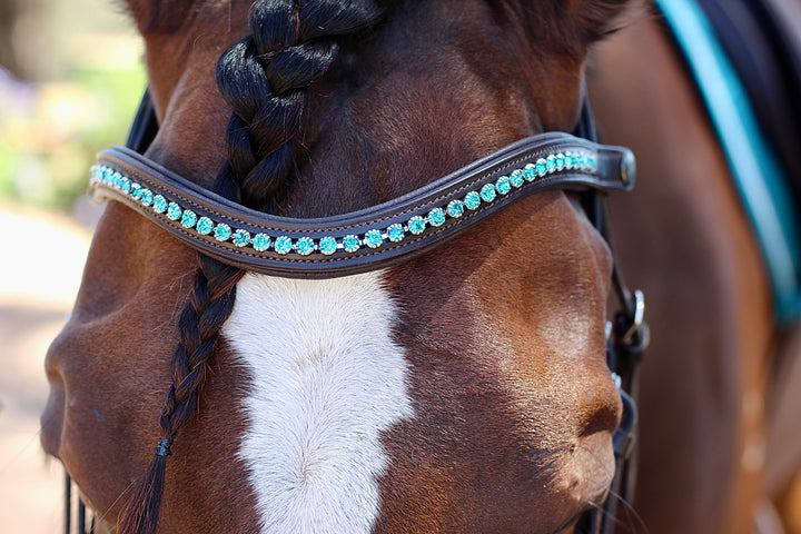 Easy-Click Browband - Ocean Seaglass