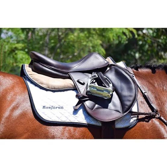 Saddles Sold / Out On Trial