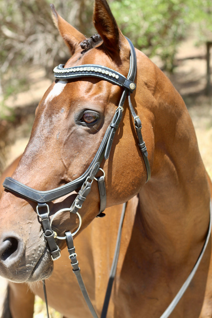 Easy-Click Browband - Glamour