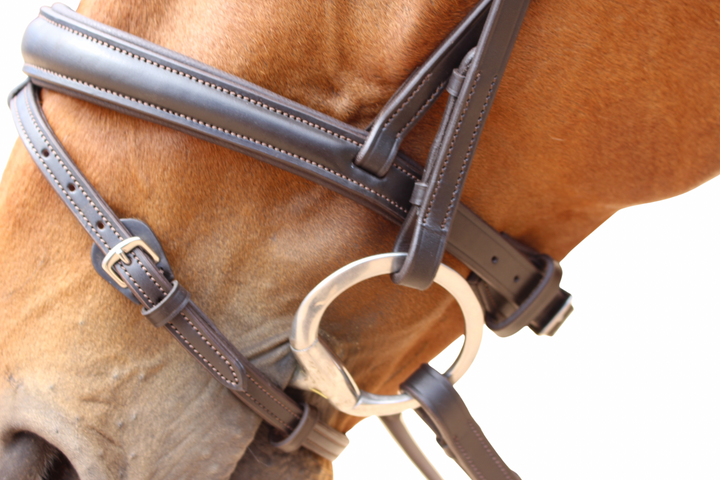 Florence Hanoverian Bridle with Reins - Havana Brown