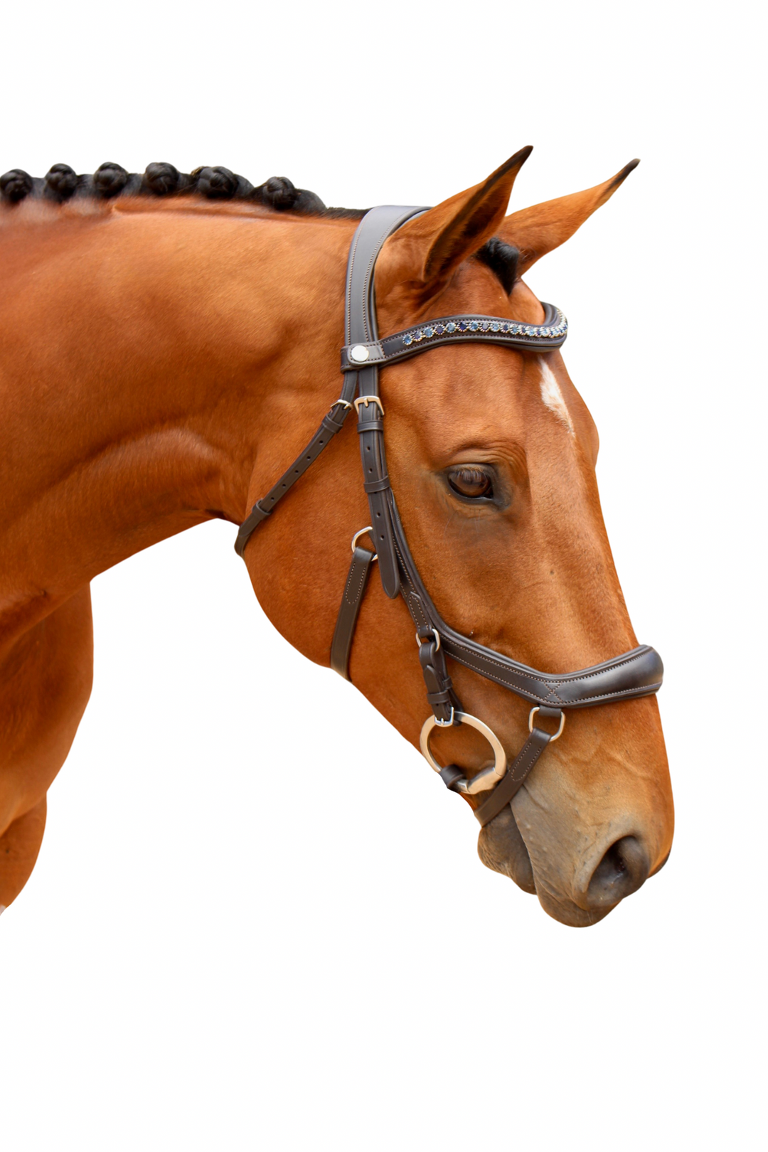 MickLux Bridle with Reins - Havana Brown