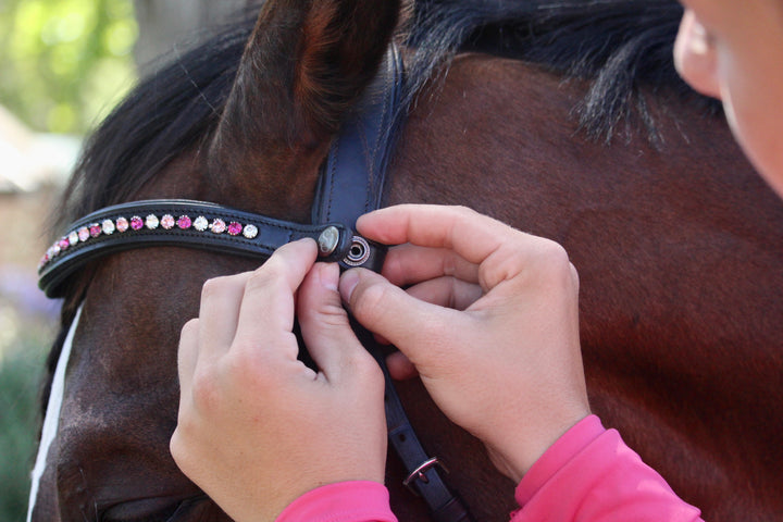 Easy-Click Browband - Tickled Pink