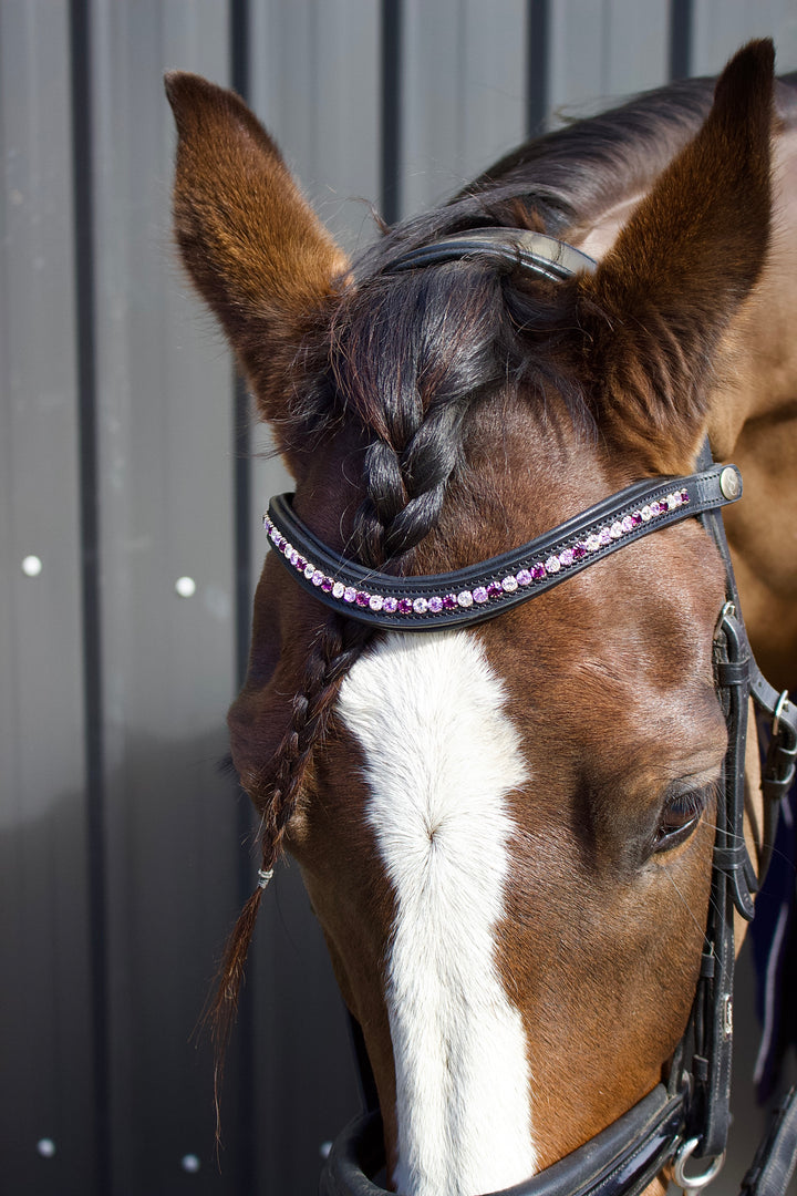 Easy-Click Browband - Purple Rose