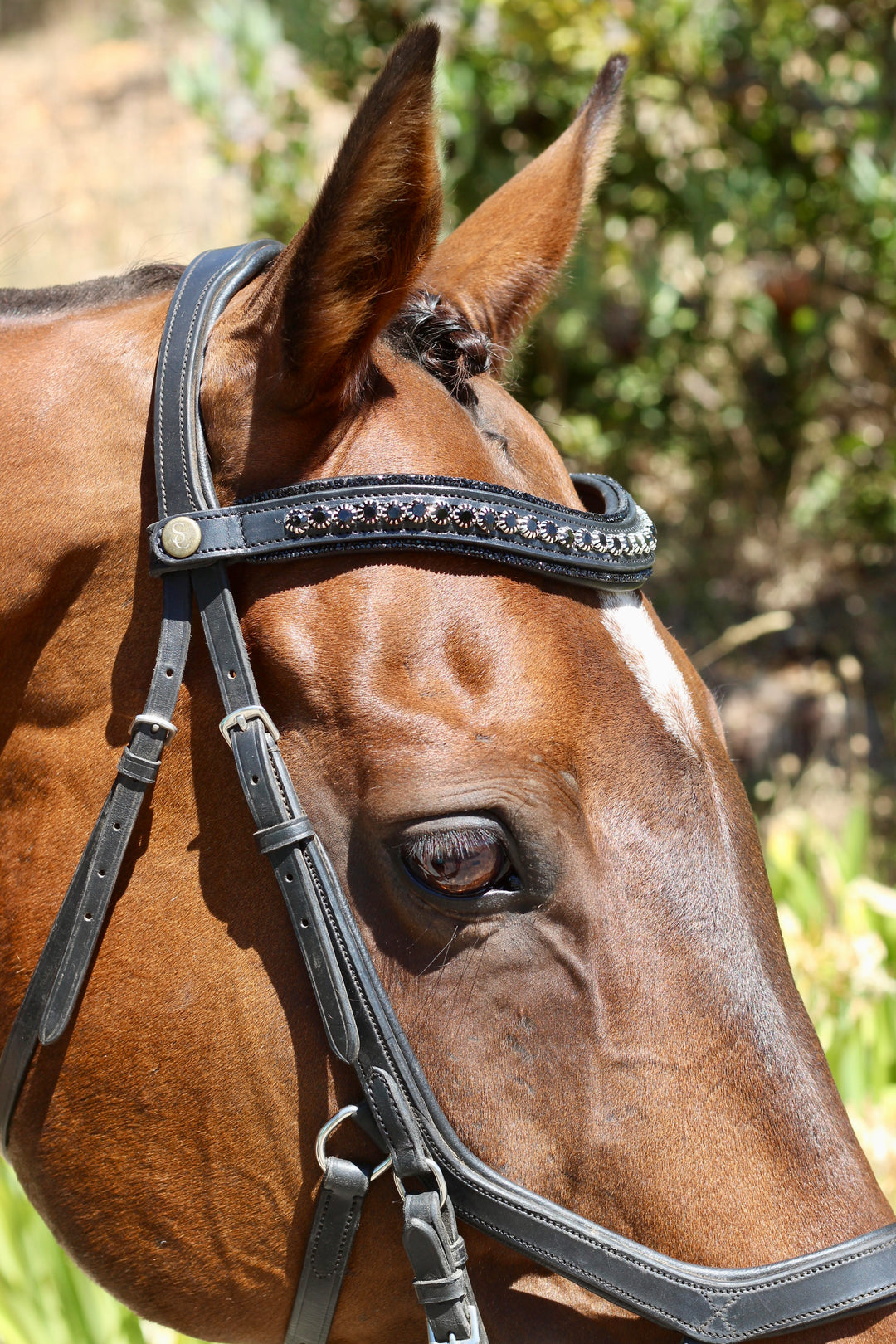 Easy-Click Browband - Eclipse