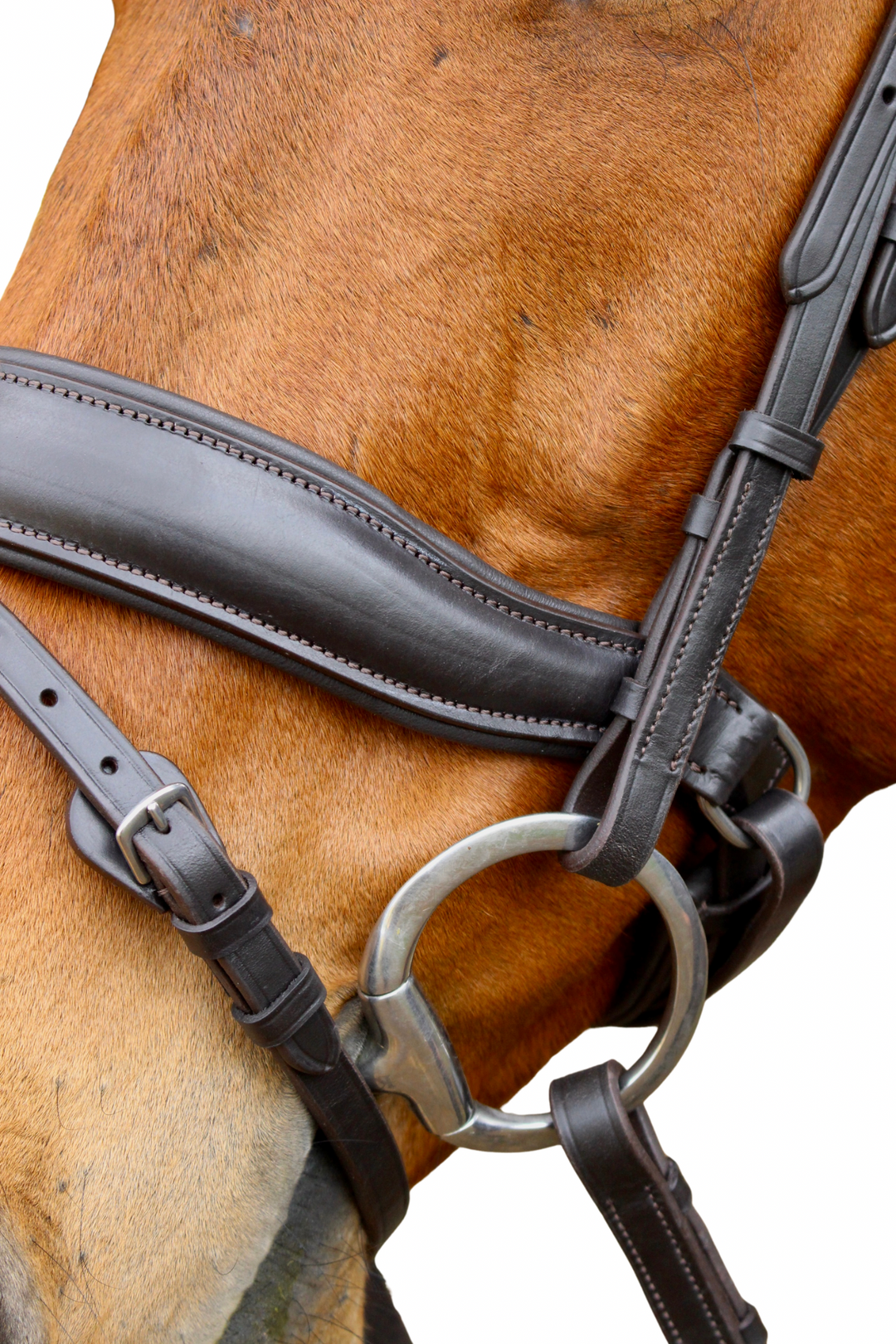 ‘Star’ Hanoverian Bridle With Reins - Havana Brown