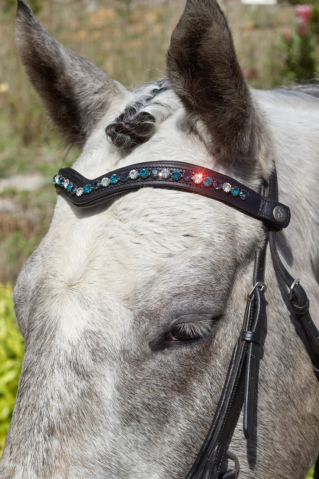 Easy-Click V Browband - Midnight Bliss