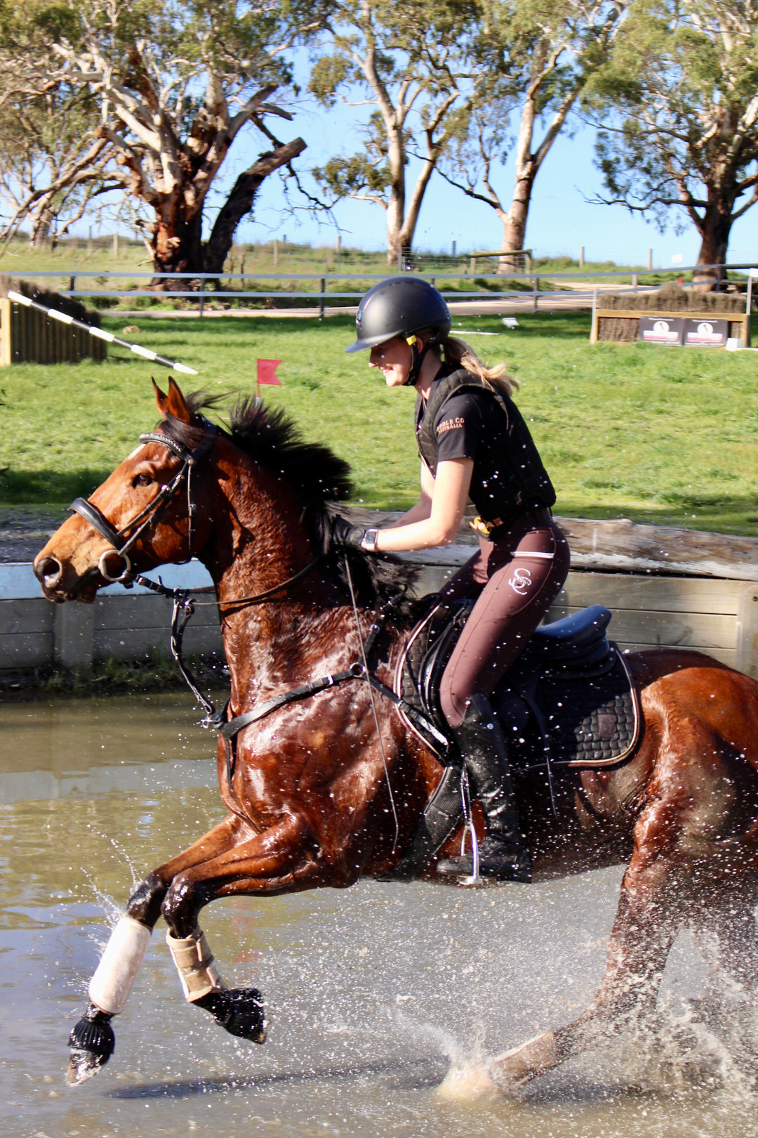 3-in-1 Running Martingale with Clip on Rings