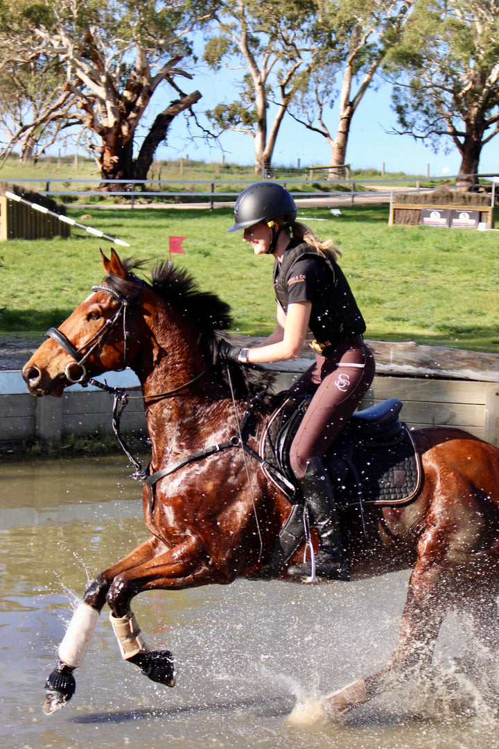3-in-1 Running Martingale with Clip on Rings