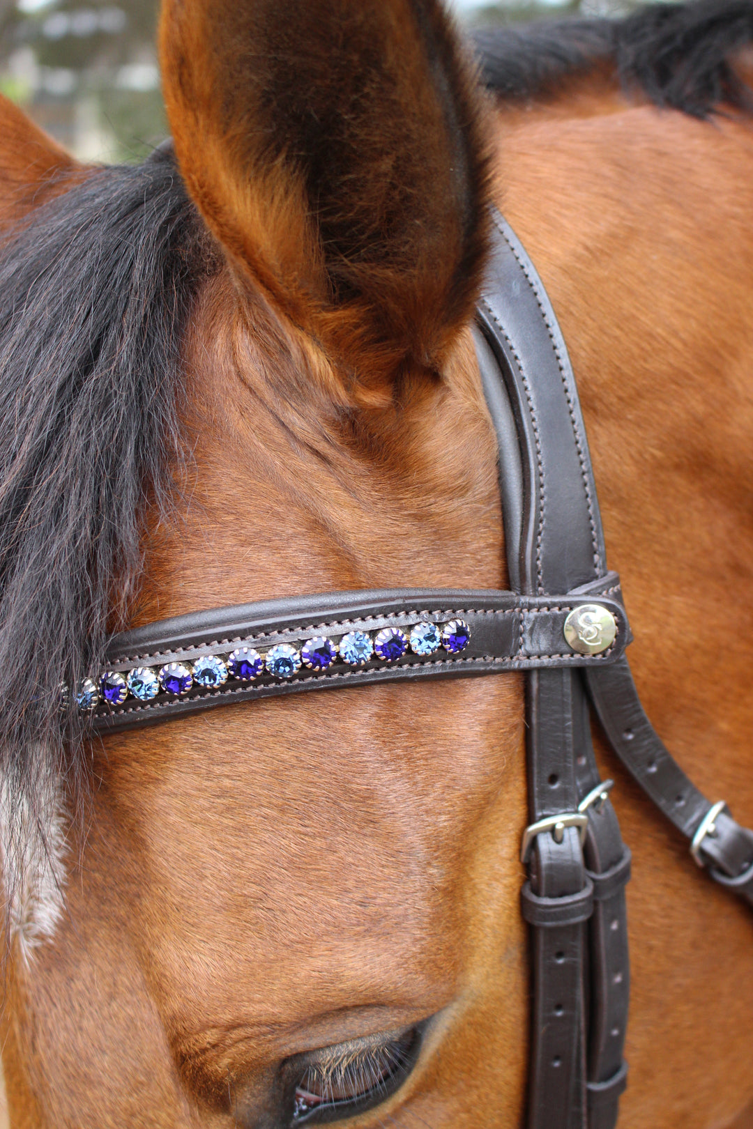 Easy-Click Browband - Blue Topaz