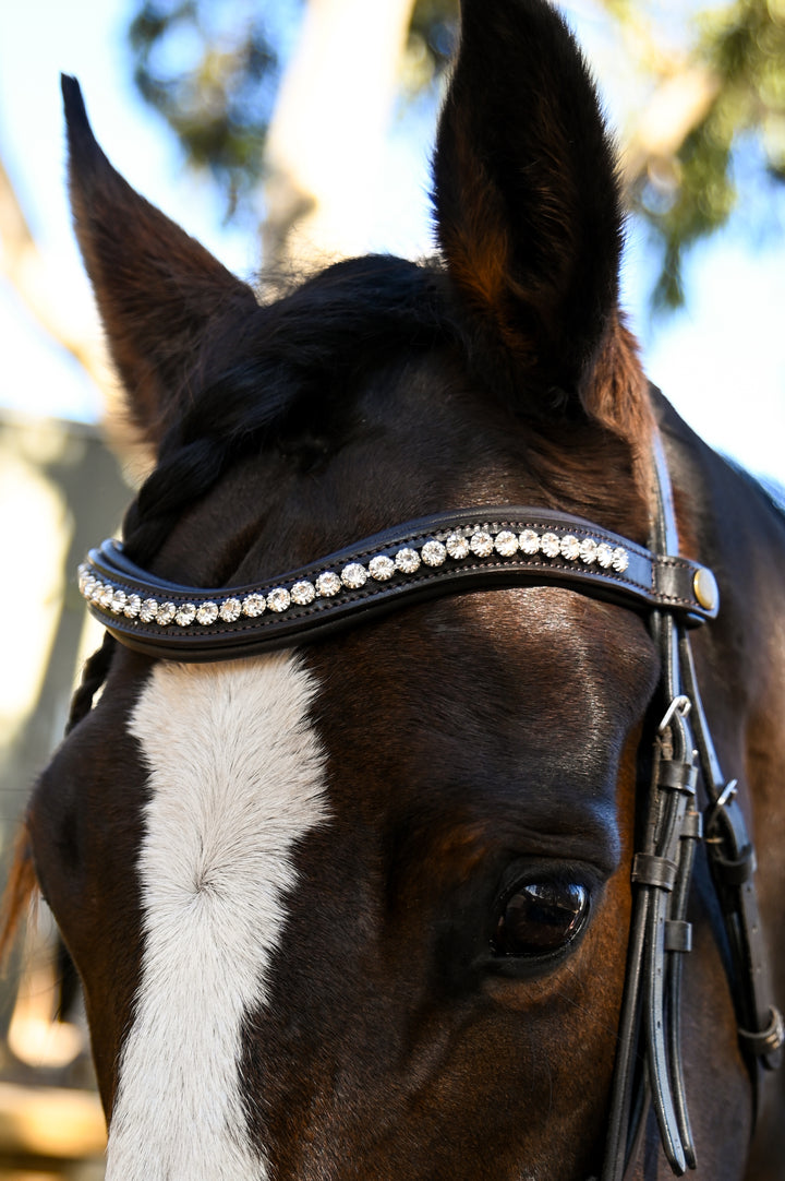 Easy-Click Browband - Glacier
