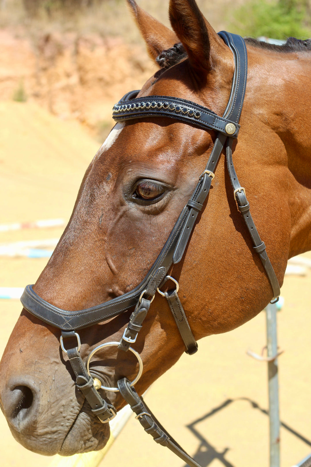 Easy-Click Browband - Eclipse