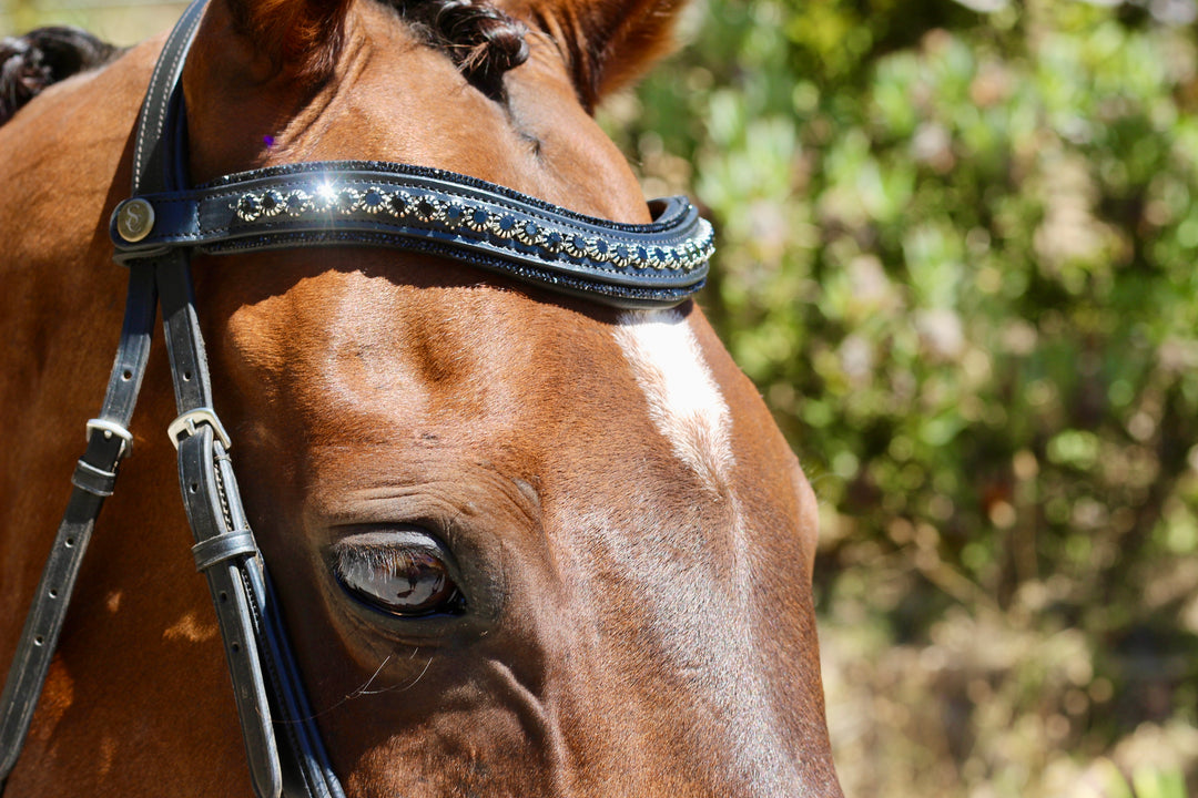 Easy-Click Browband - Eclipse