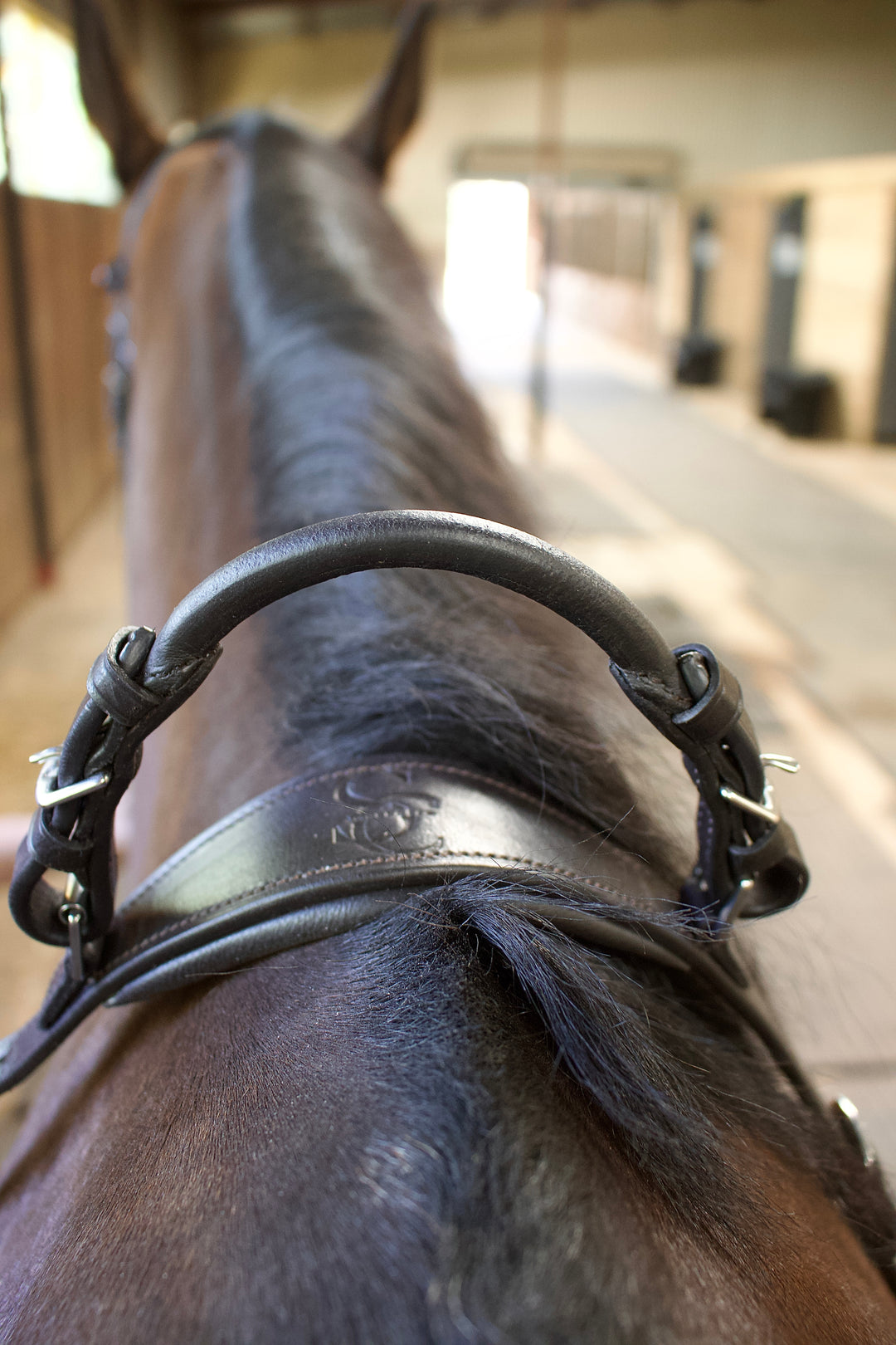 Saddle Co Balance Breastplate™- Havana Brown