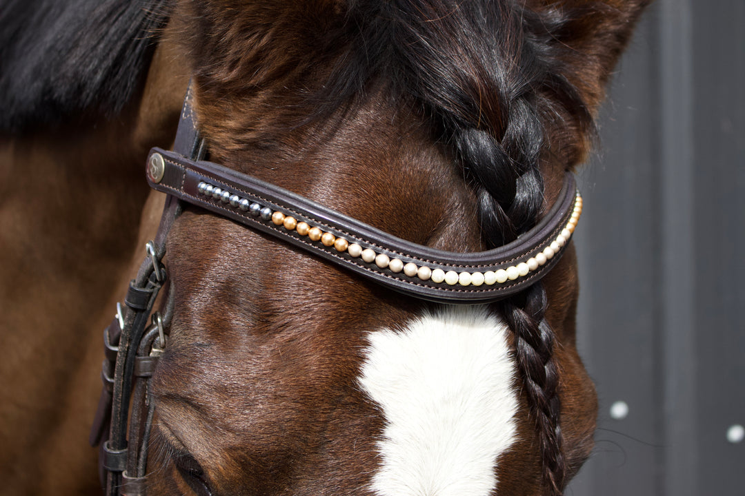 Easy-Click Browband - Pearl Fade