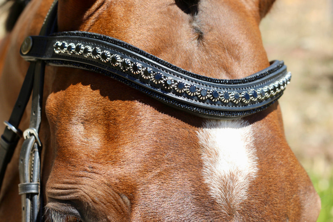 Easy-Click Browband - Eclipse