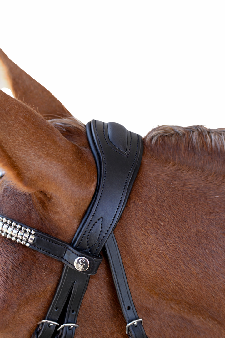 Cosmo Cavesson Bridle with Reins - Black