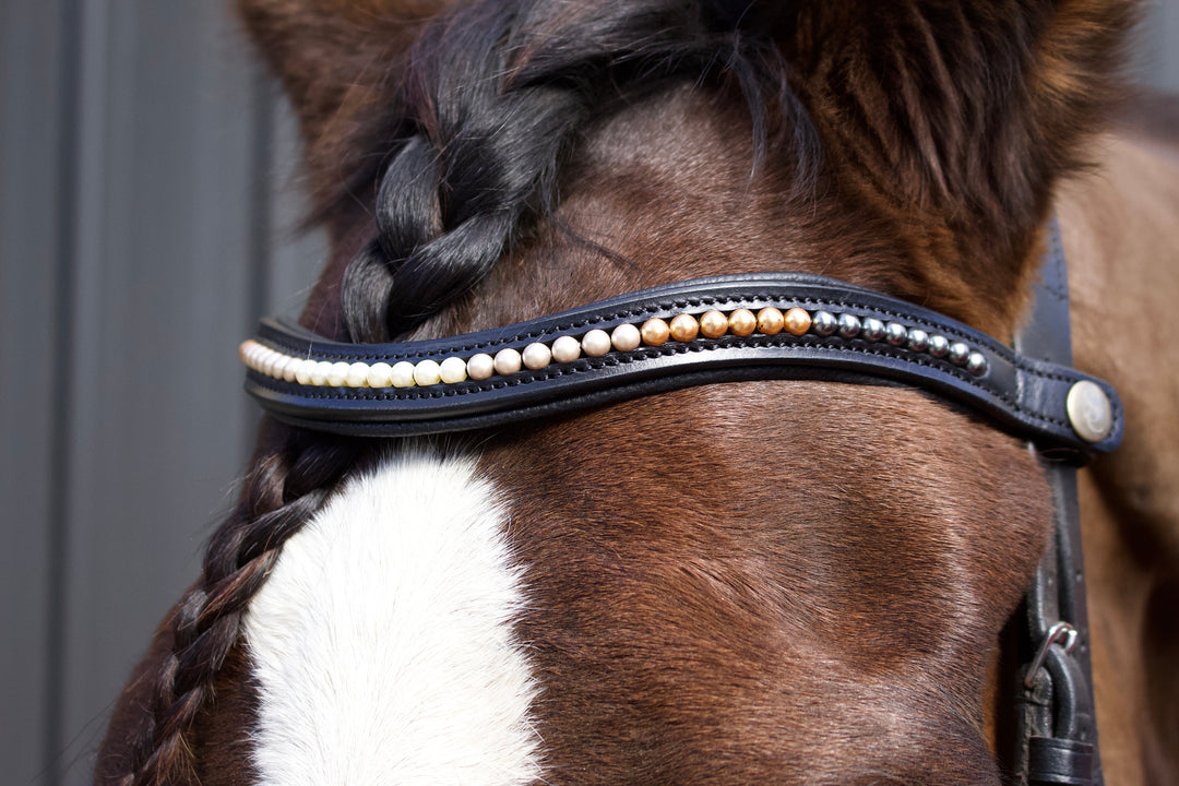 Easy-Click Browband - Pearl Fade