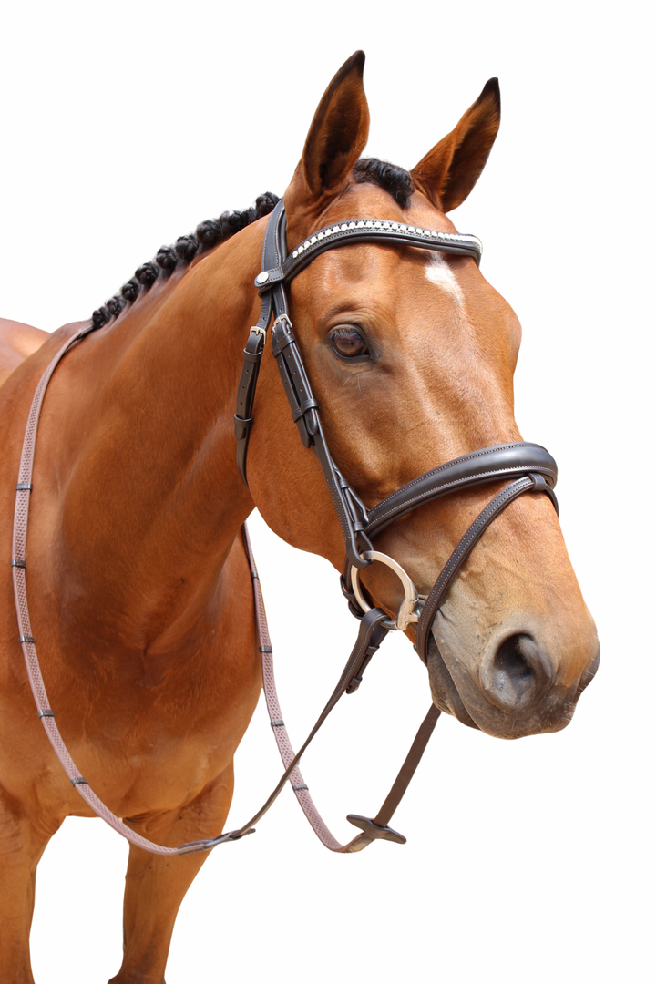 Florence Hanoverian Bridle with Reins - Havana Brown