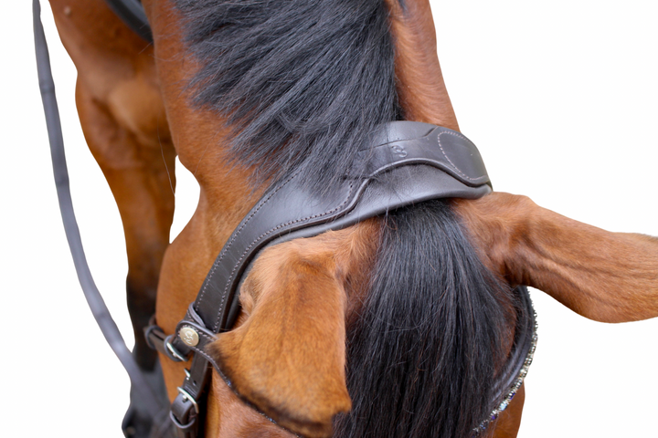 ‘Star’ Hanoverian Bridle With Reins - Havana Brown