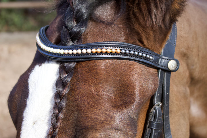 Easy-Click Browband - Pearl Fade