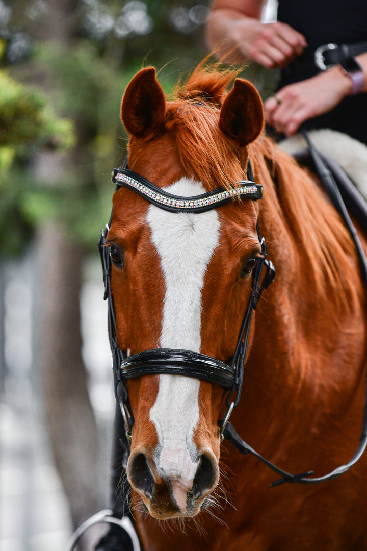 Easy-Click Browband - Unicorn Dreams