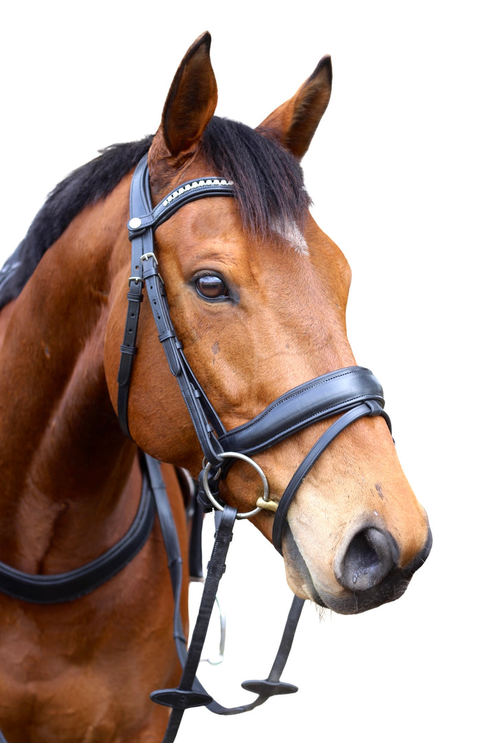 ‘Star’ Hanoverian Bridle With Reins - Black
