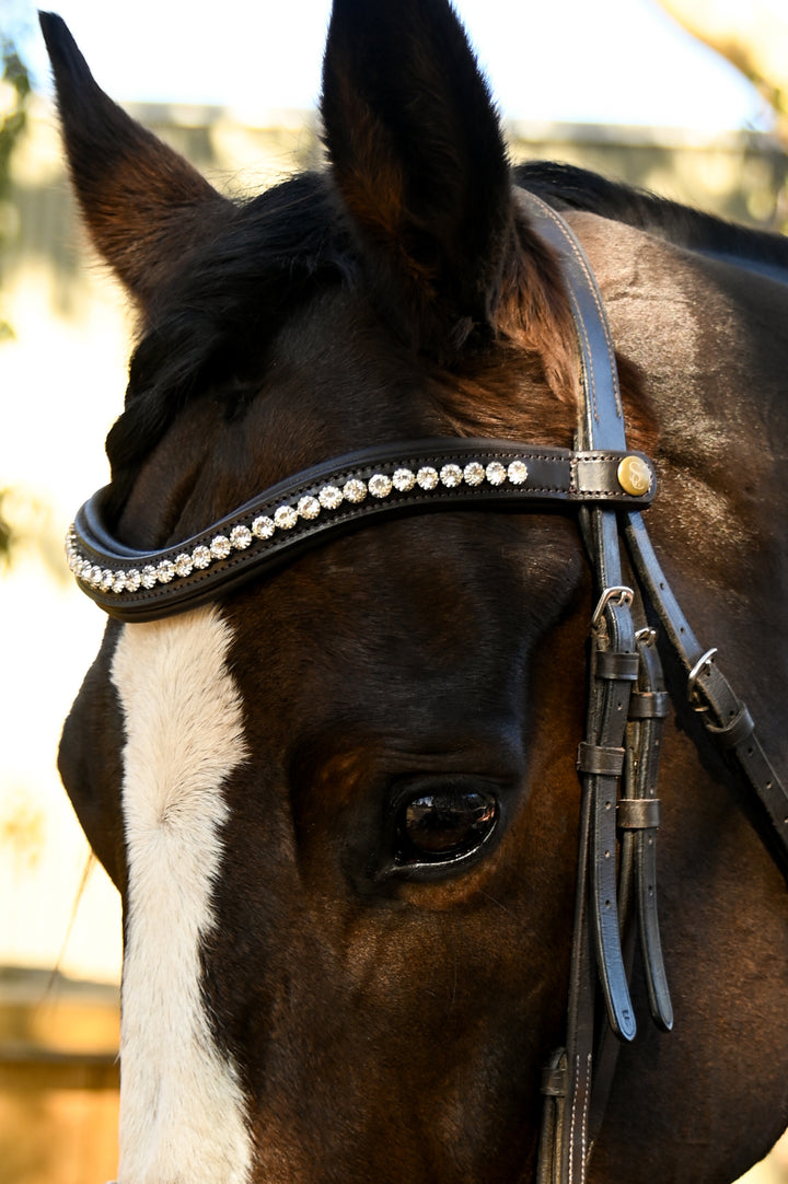 Easy-Click Browband - Glacier