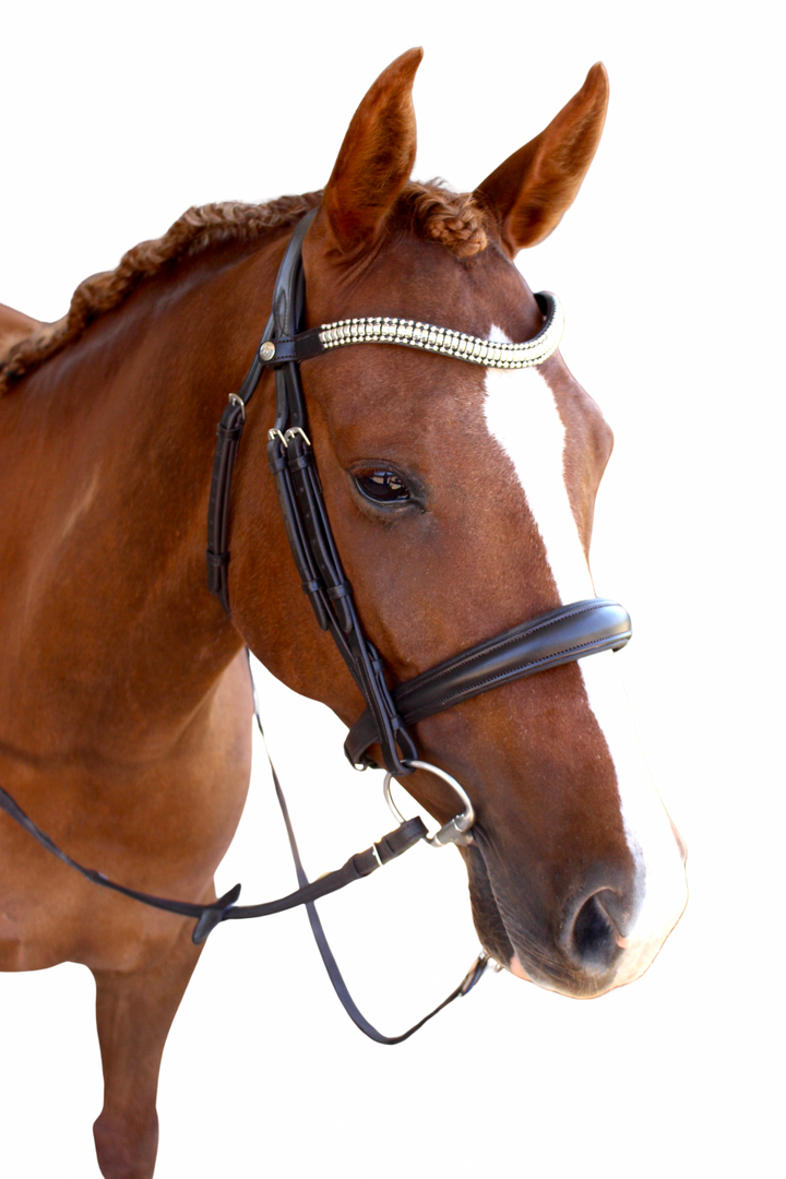 Cosmo Cavesson Bridle with Reins - Havana Brown