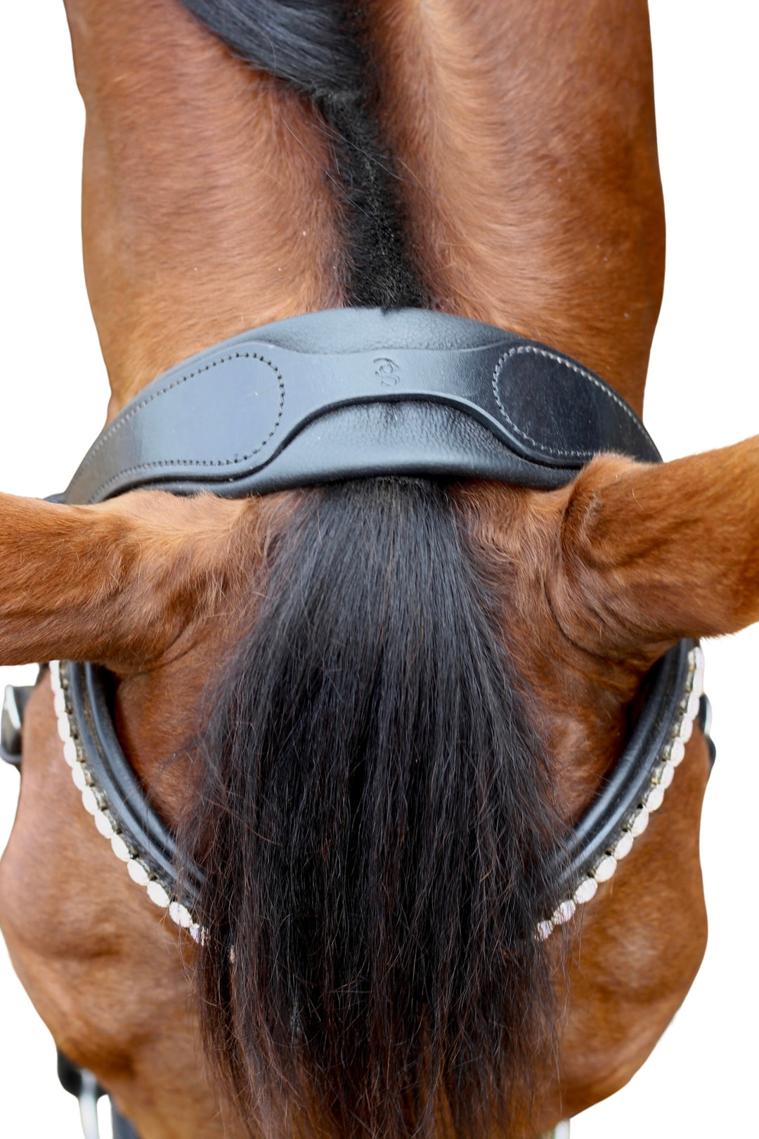 ‘Star’ Hanoverian Bridle With Reins - Black