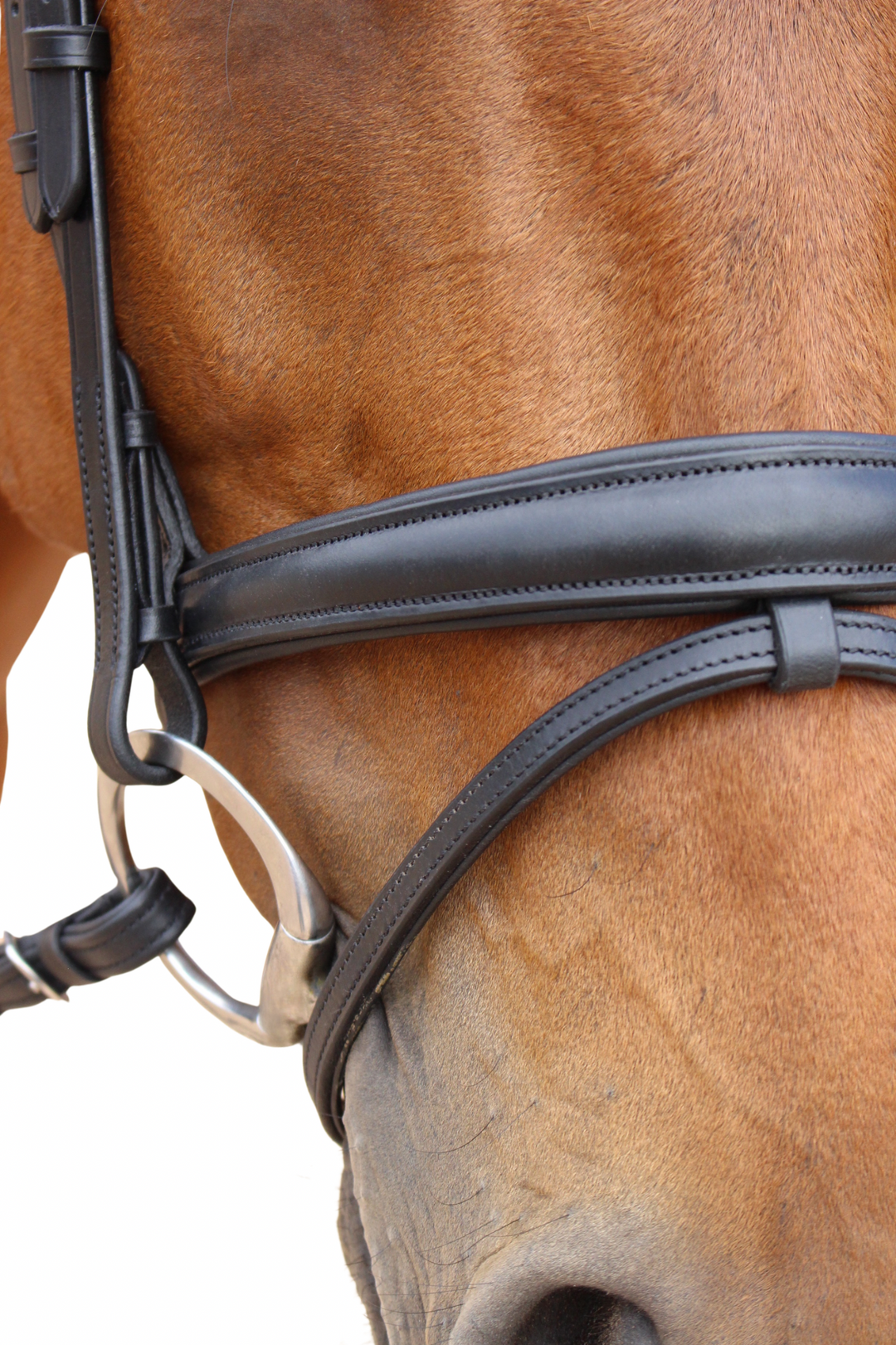 Florence Hanoverian Bridle with Reins - Black