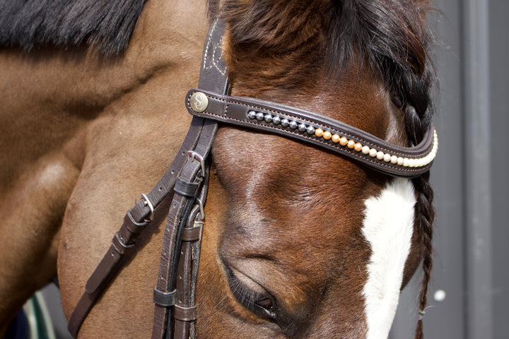 Easy-Click Browband - Pearl Fade