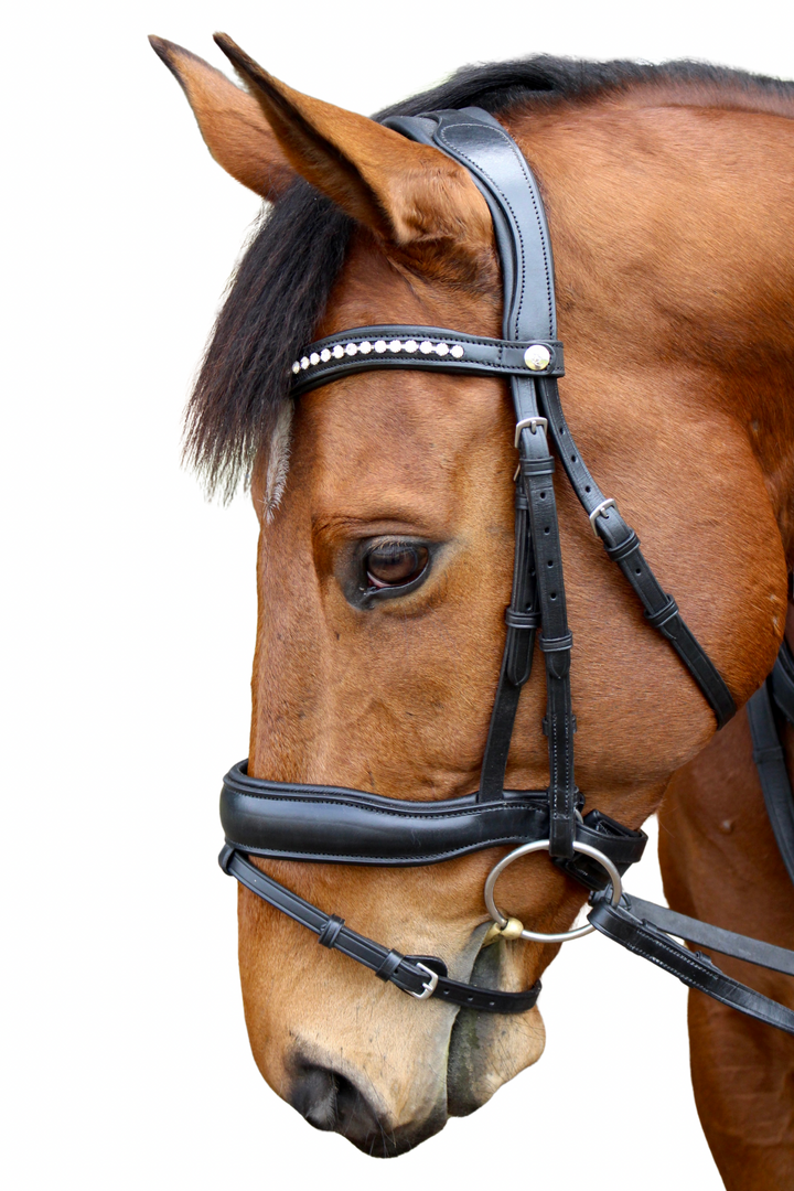 ‘Star’ Hanoverian Bridle With Reins - Black