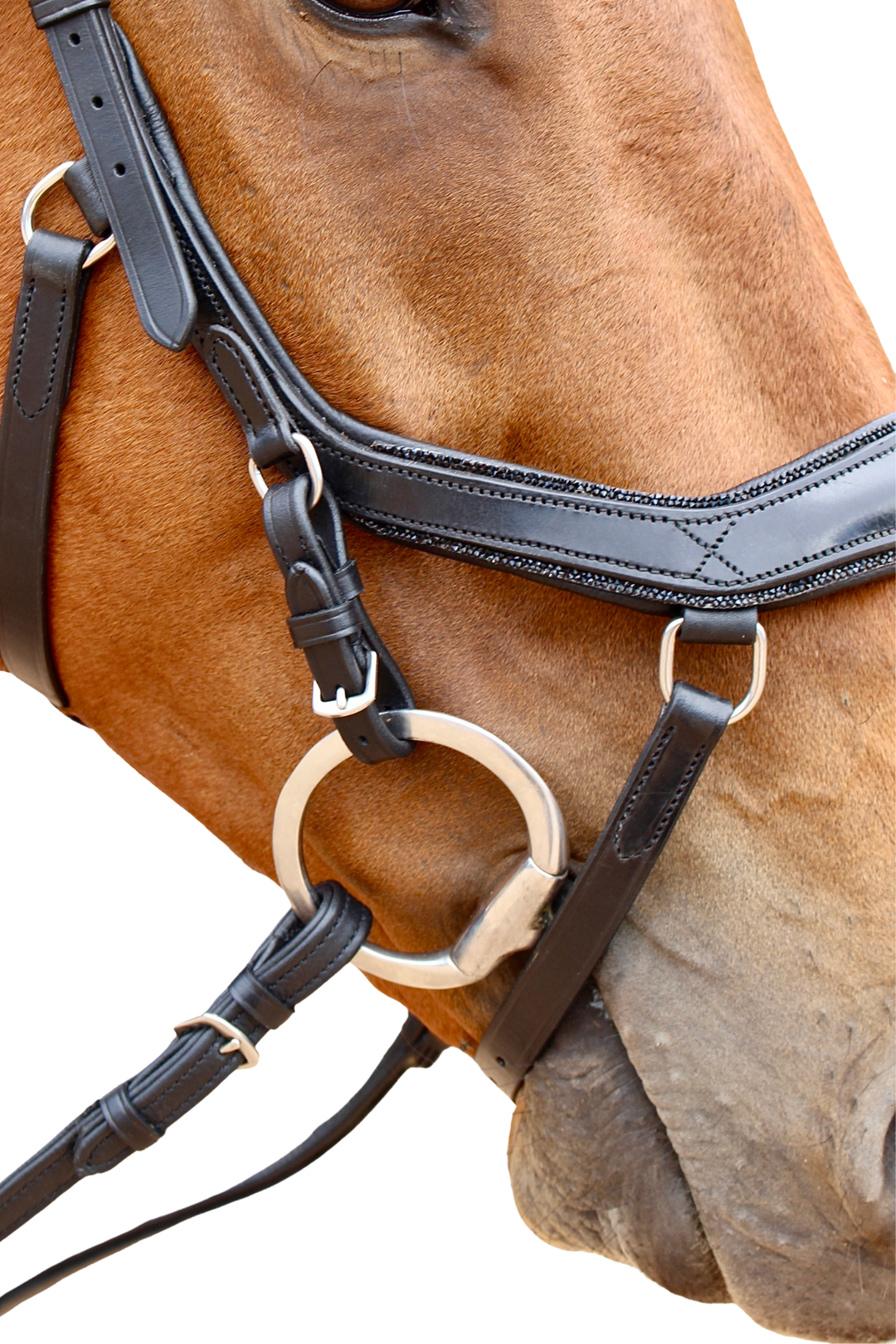 Crystal MickLux Bridle with Reins - Black