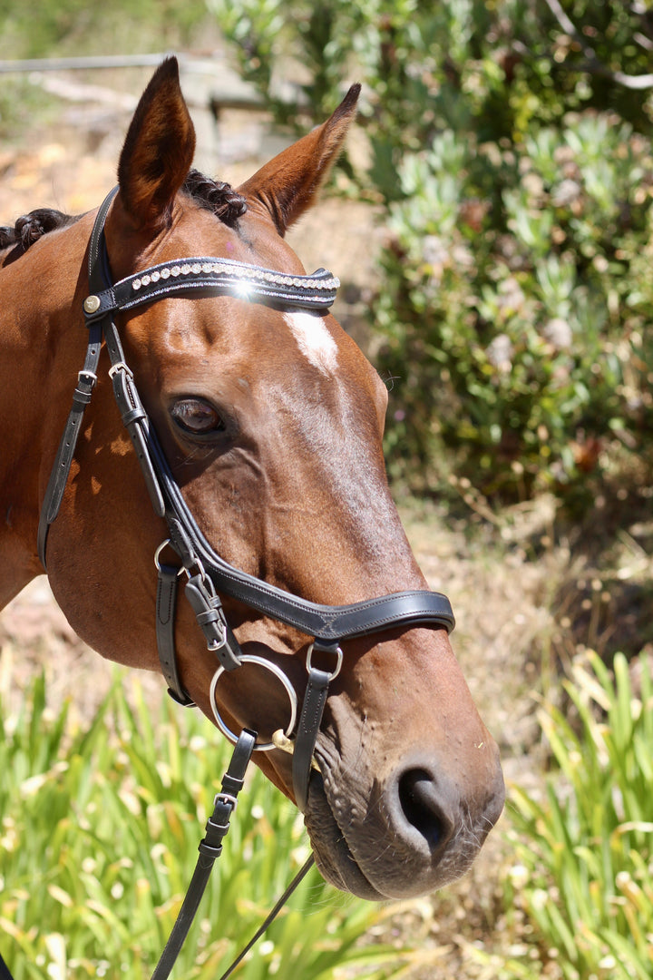 Easy-Click Browband - Glamour