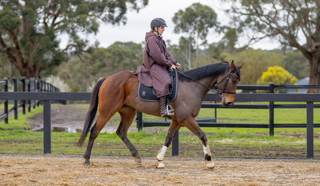 Saddle Co Equi-Hoodie ‘Pro Lite’ - Chocolate