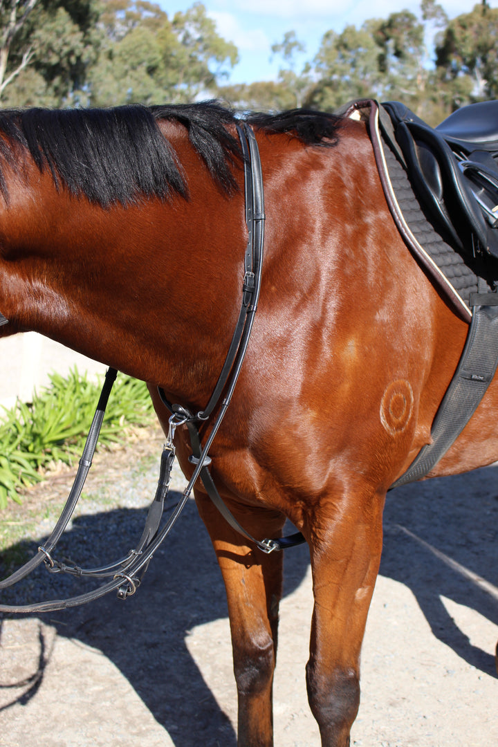 3-in-1 Running Martingale with Clip on Rings