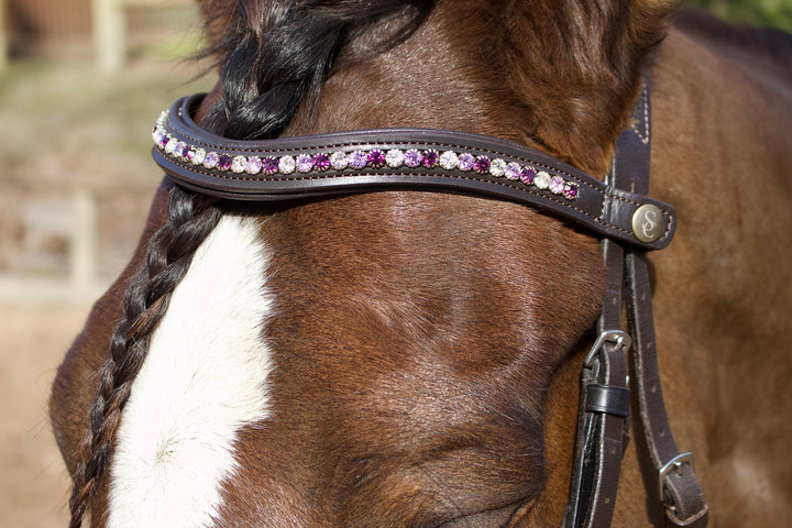 Easy-Click Browband - Purple Rose