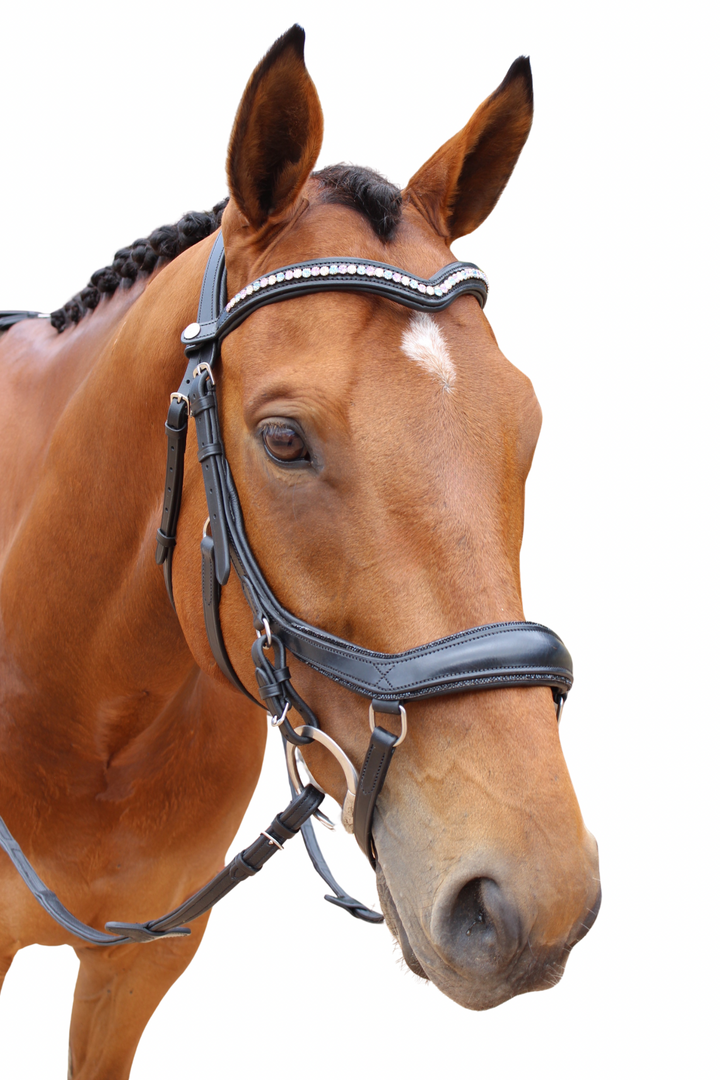 Crystal MickLux Bridle with Reins - Black