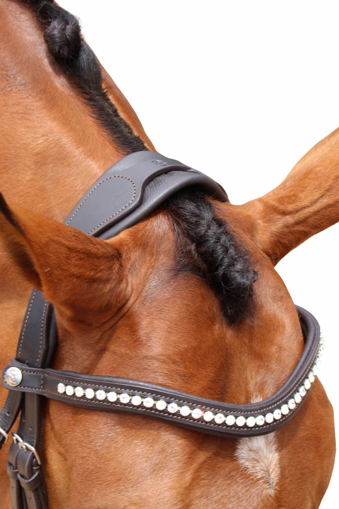 Florence Hanoverian Bridle with Reins - Havana Brown