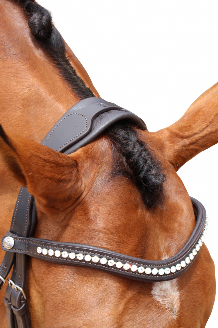 Florence Hanoverian Bridle with Reins - Havana Brown