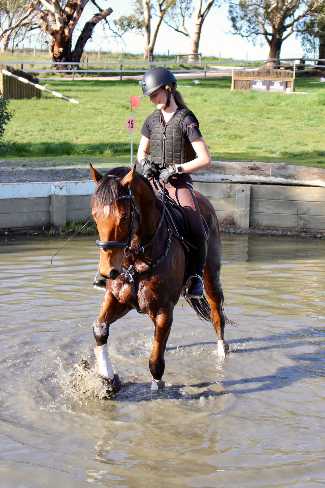 3-in-1 Running Martingale with Clip on Rings