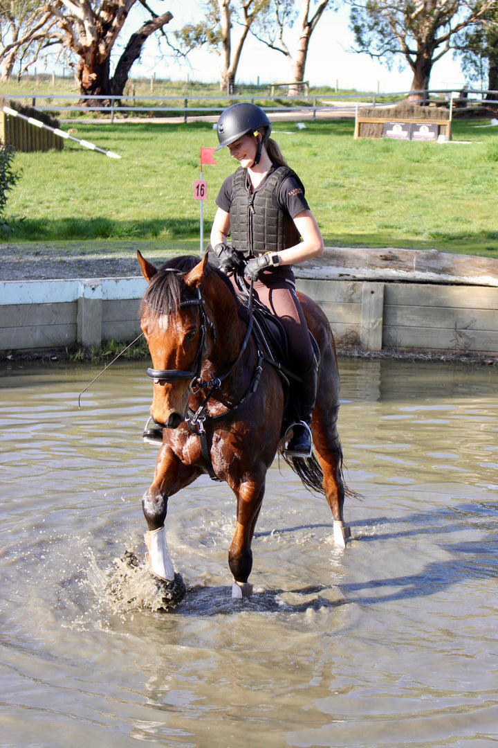 3-in-1 Running Martingale with Clip on Rings