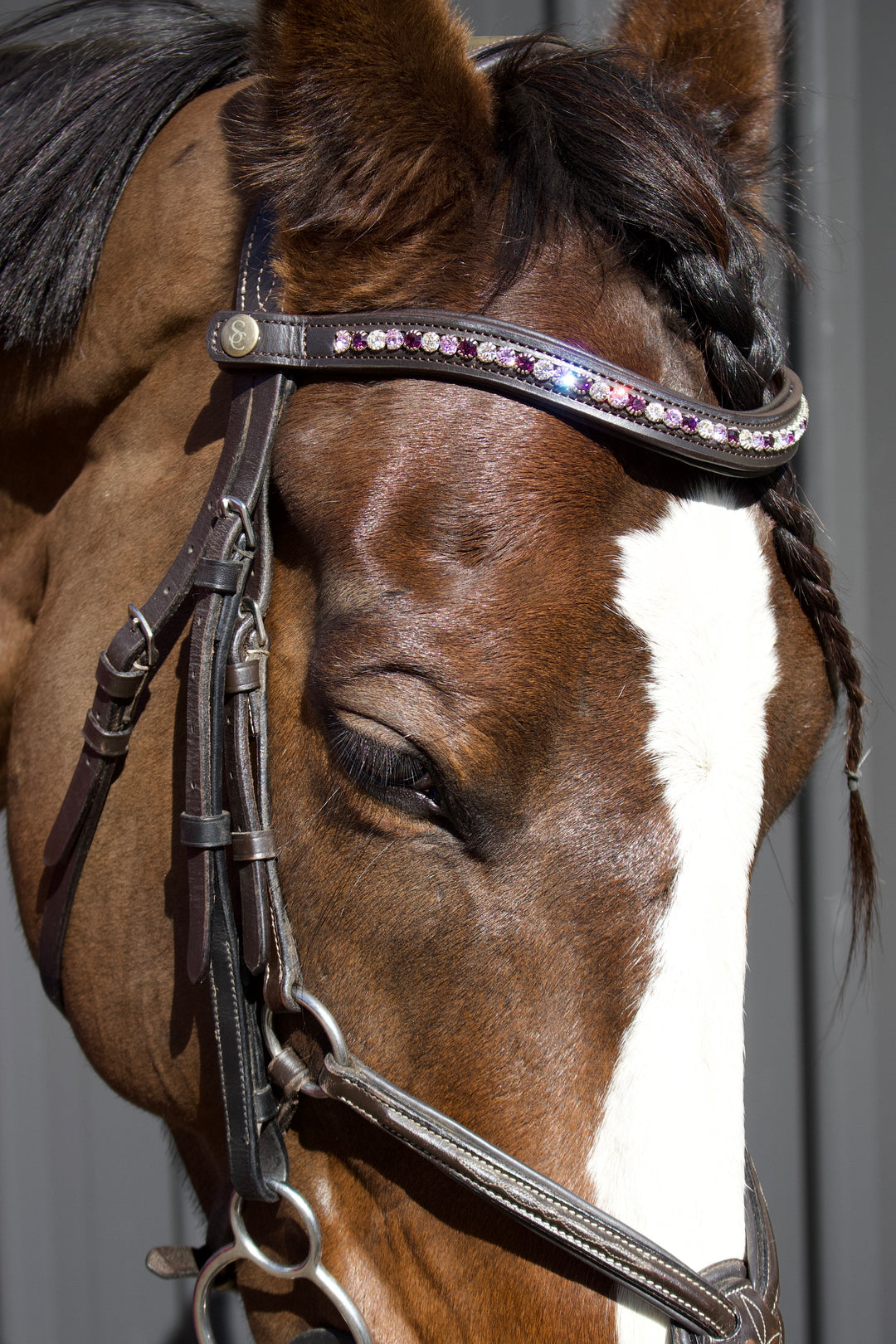 Easy-Click Browband - Purple Rose