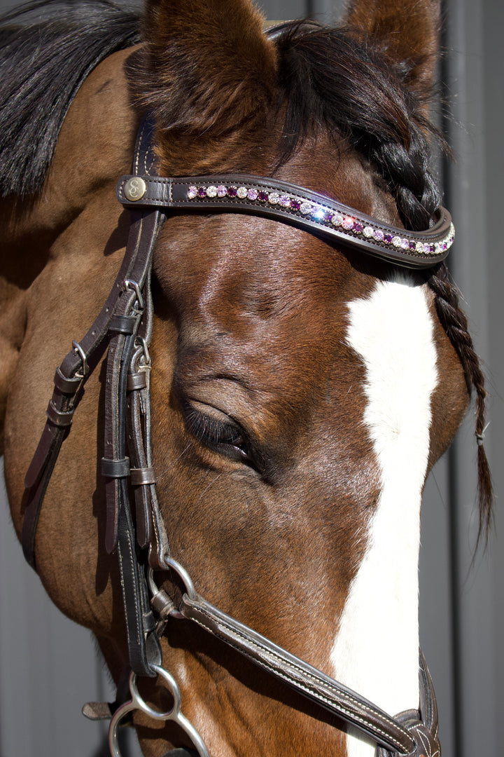 Easy-Click Browband - Purple Rose