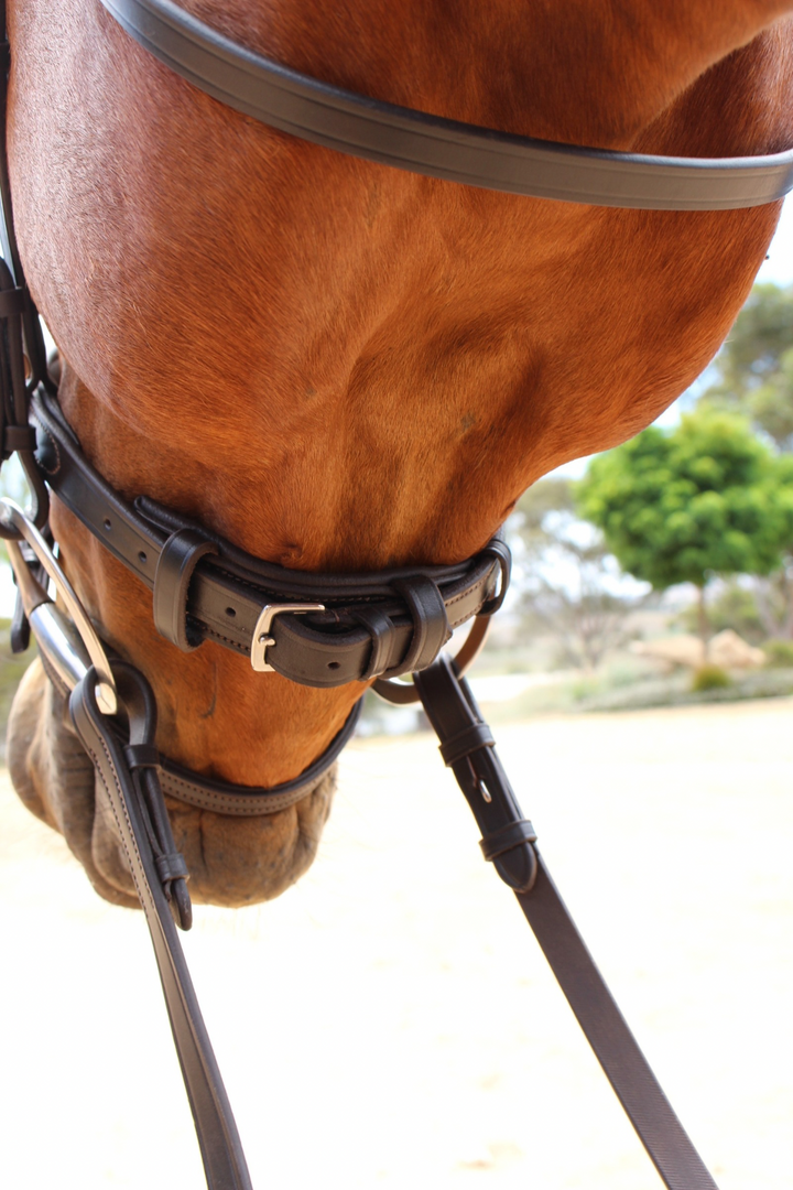 Florence Hanoverian Bridle with Reins - Havana Brown
