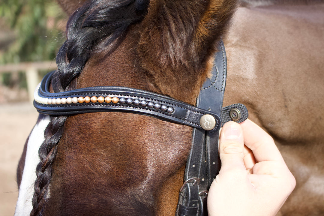 Easy-Click Browband - Pearl Fade