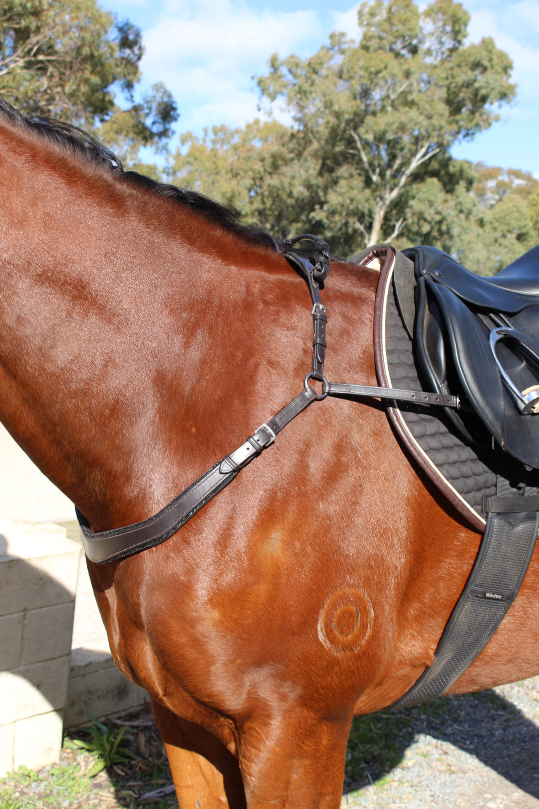 Saddle Co ‘Bling’ Balance Breastplate™- Brown Leather with Black Rhinestone
